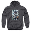 Batman - Punch Youth Hooded Sweatshirt