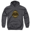 Batman - Batman Crest Youth Hooded Sweatshirt
