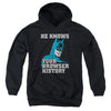 Batman - Batman Knows Youth Hooded Sweatshirt