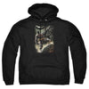 Batman - Family Adult Pullover Hoodie