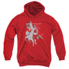 Batman - Lean And Muscular Youth Hooded Sweatshirt
