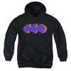 Batman - Tri Colored Symbol Youth Hooded Sweatshirt