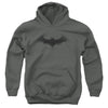 Batman - Bat Logo 1 Youth Hooded Sweatshirt