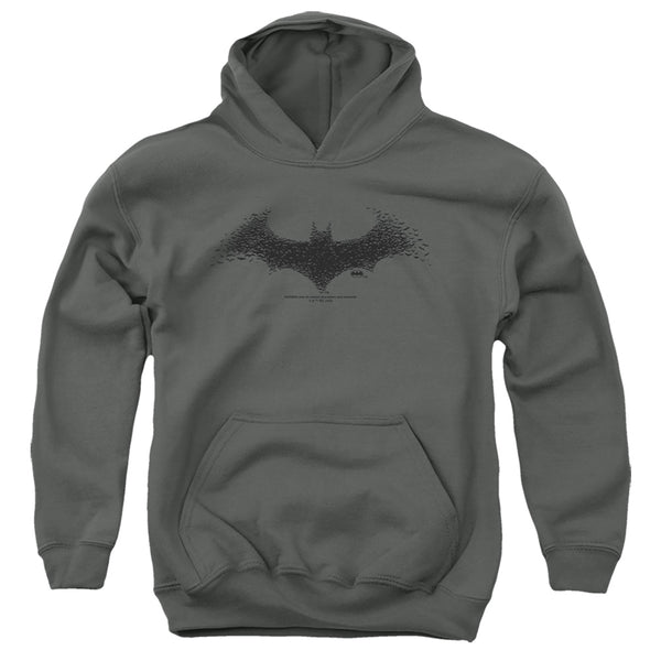Batman - Bat Logo 1 Youth Hooded Sweatshirt