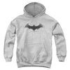 Batman - Bat Logo 2 Youth Hooded Sweatshirt
