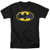 Batman - Batman Airbrush Logo Adult Regular Fit Short Sleeve