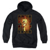 David Bowie - Perched Youth Hooded Sweatshirt