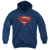 Batman V Superman - Super Movie Logo Youth Hooded Sweatshirt