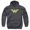 Batman V Superman - Clean Line Logo Youth Hooded Sweatshirt