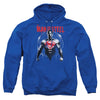 Batman V Superman - Super Spray Adult Pullover Hoodie