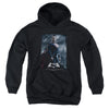 Batman V Superman - Supe Poster Youth Hooded Sweatshirt