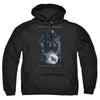 Batman V Superman - Signal Adult Pullover Hoodie