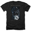 Batman V Superman - Signal Adult Regular Fit Heather Short Sleeve