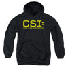 CSI - Logo Youth Hooded Sweatshirt