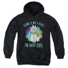 Rick And Morty - School Youth Hooded Sweatshirt