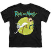 Rick And Morty - Portal Youth Short Sleeve