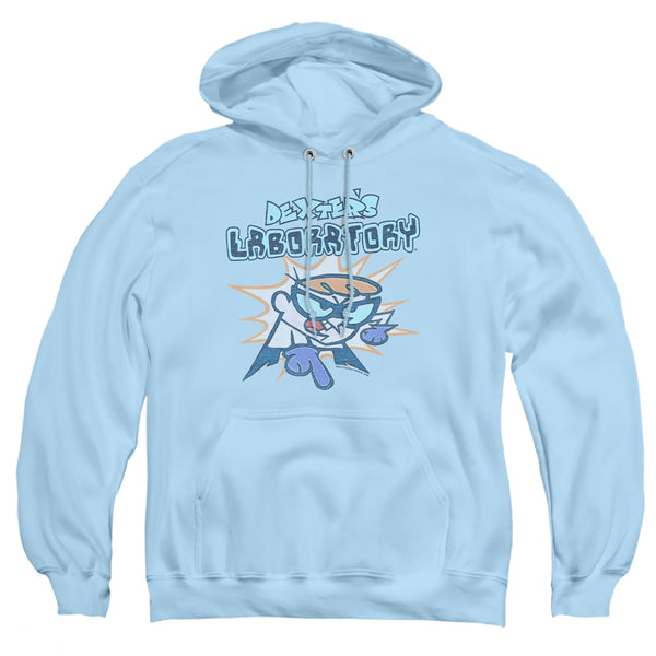 Dexter's Laboratory - What Do You Want Adult Pullover Hoodie