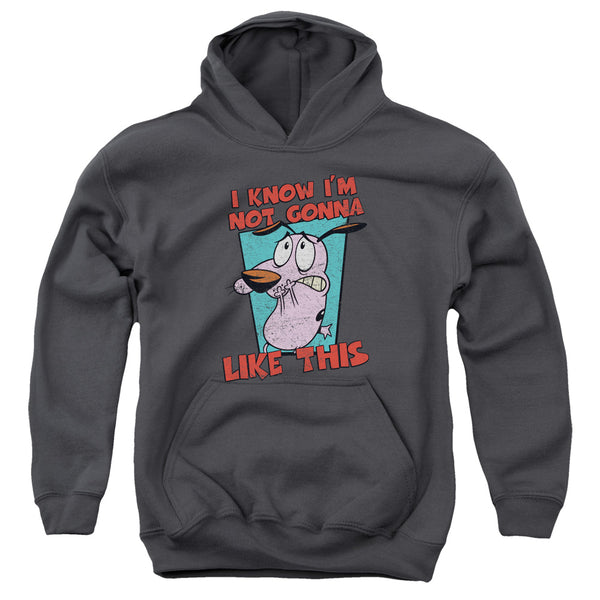 Courage The Cowardly Dog - Not Gonna Like Youth Hooded Sweatshirt