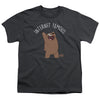 We Bare Bears - Internet Famous Youth Short Sleeve