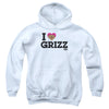 We Bare Bears - Heart Grizz Youth Hooded Sweatshirt