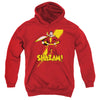 DC Shazam - Shazam Youth Hooded Sweatshirt