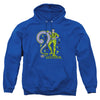 DC - The Riddler Adult Pullover Hoodie