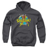 DC Shazam - Power Bolt Youth Hooded Sweatshirt