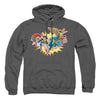 DC - Please Get Me Adult Pullover Hoodie