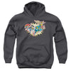 DC - Please Get Me Youth Hooded Sweatshirt