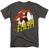 Flash - Run Flash Run Adult Regular Fit Short Sleeve