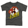 Flash - Run Flash Run Toddler Short Sleeve