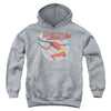DC - Elongated Man Youth Hooded Sweatshirt