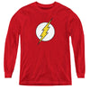 Flash - Flash Logo L - S Youth