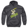 DC - Samurai Youth Hooded Sweatshirt