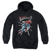 DC - Cover Me Youth Hooded Sweatshirt