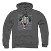 DC - Dastardly Merriment Adult Pullover Hoodie