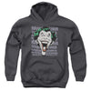 DC - Dastardly Merriment Youth Hooded Sweatshirt
