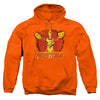 DC - Ring Of Firestorm Adult Pullover Hoodie