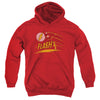 Flash - Like Lightning Youth Hooded Sweatshirt