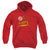 Flash - Like Lightning Youth Hooded Sweatshirt