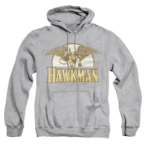 DC - Fly By Adult Pullover Hoodie