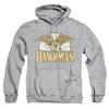 DC - Fly By Adult Pullover Hoodie