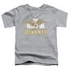 DC - Fly By Toddler Short Sleeve