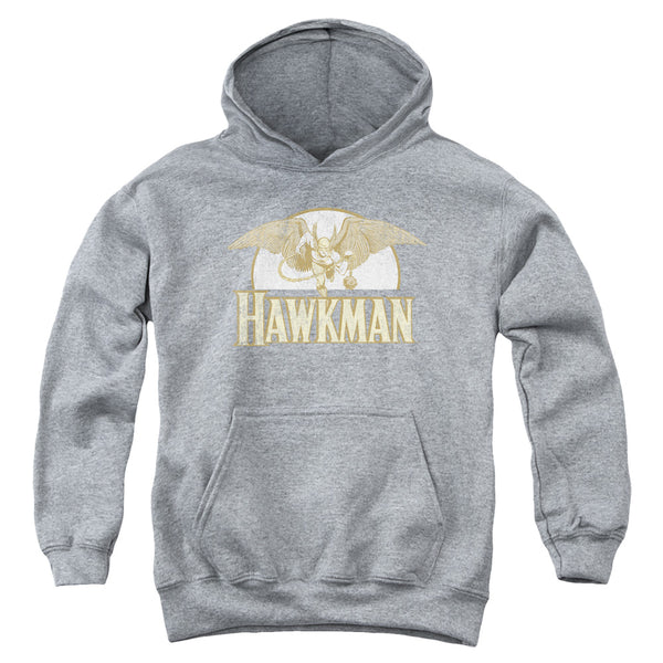 DC - Fly By Youth Hooded Sweatshirt