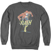 Flash - Desaturated Flash Adult Crewneck Sweatshirt