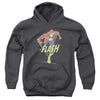 Flash - Desaturated Flash Youth Hooded Sweatshirt