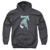 DCO - Desaturated Green Lantern Youth Hooded Sweatshirt