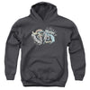 DCO - Action Duo Youth Hooded Sweatshirt