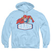 Flash - Flash Sign Adult Pullover Hoodie