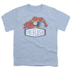 Flash - Flash Sign Youth Short Sleeve